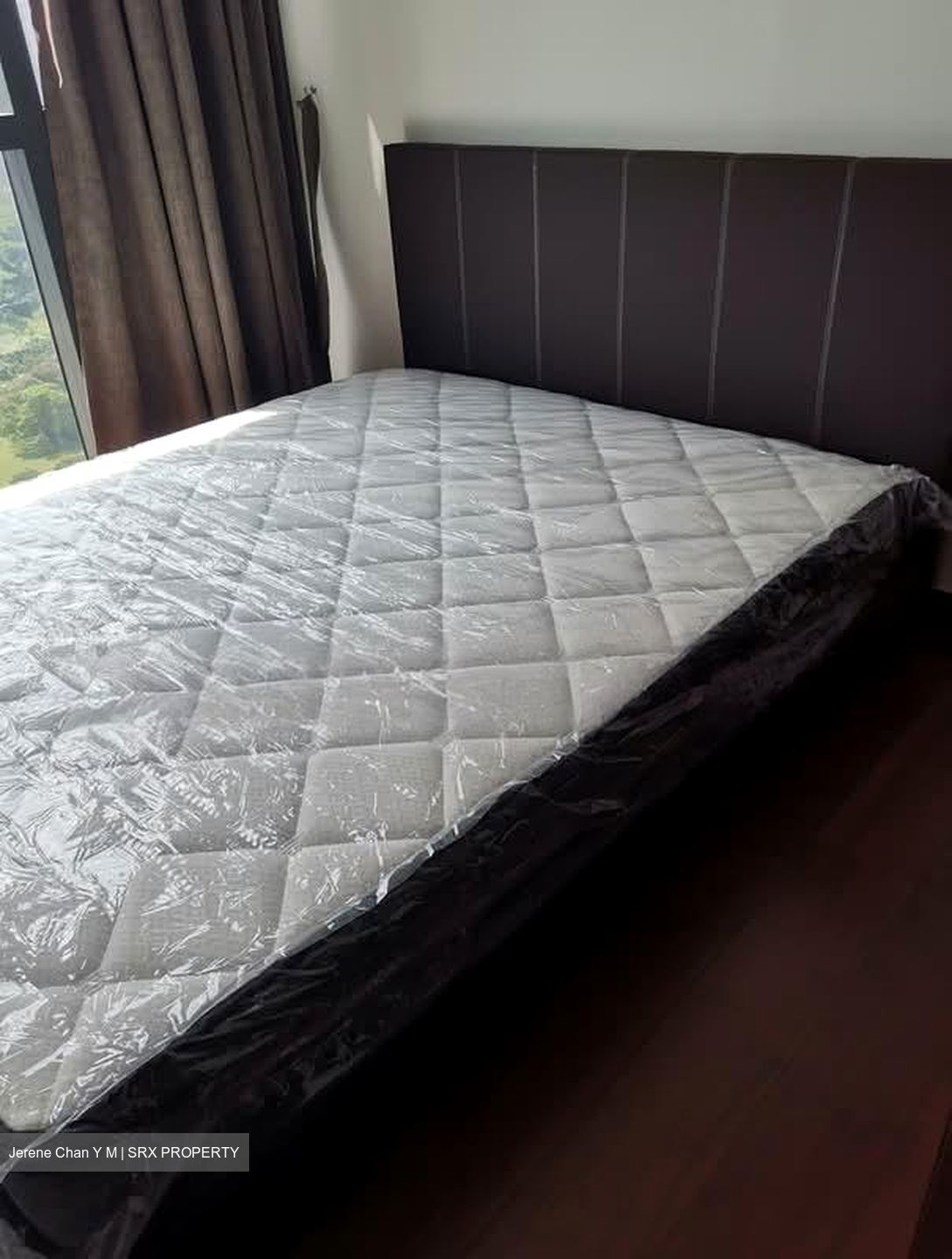 Normanton Park (D5), Apartment #559159911